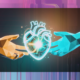 Human and AI hands holding a glowing heart, symbolising connection and the balance between technology and humanity.